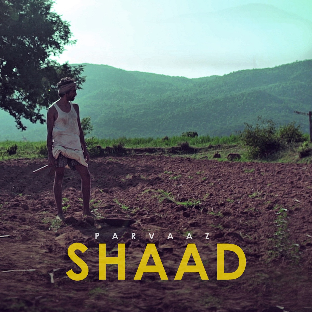 Shaad cover